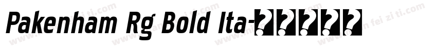 Pakenham Rg Bold Ita字体转换